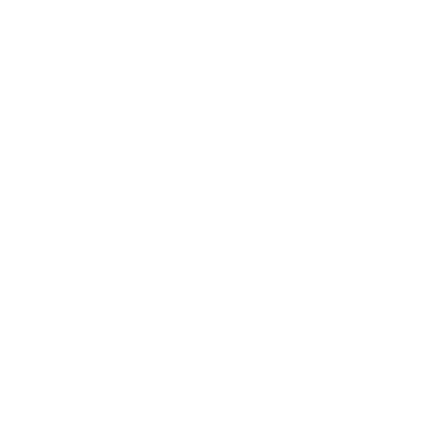Battery Icon White