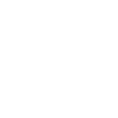 Bullseye Icon White