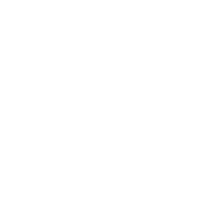 Key Icon White